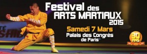 Festival des Arts Martiaux 2015